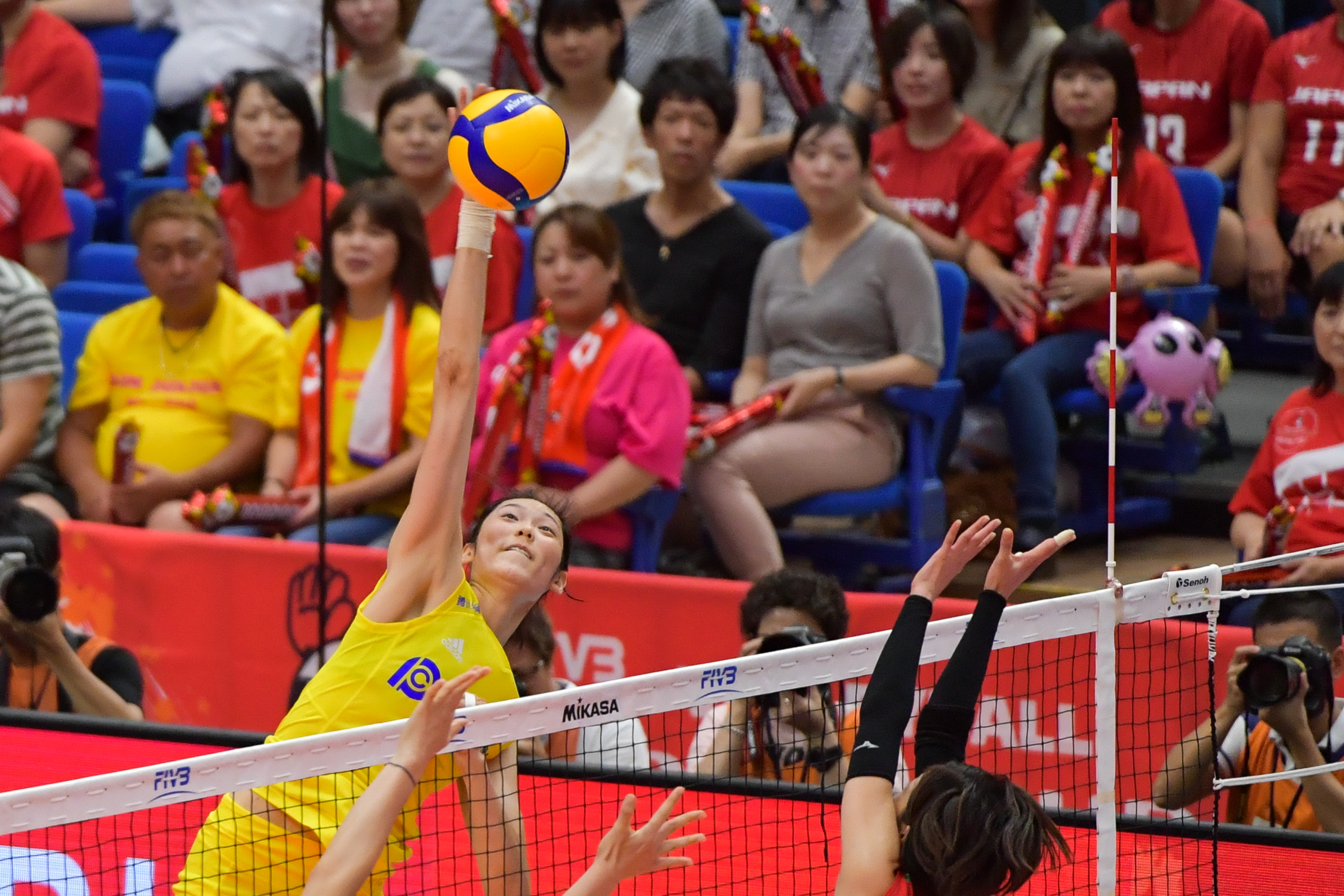 排球赛事精彩瞬间盘点，年度回顾震撼登场的简单介绍