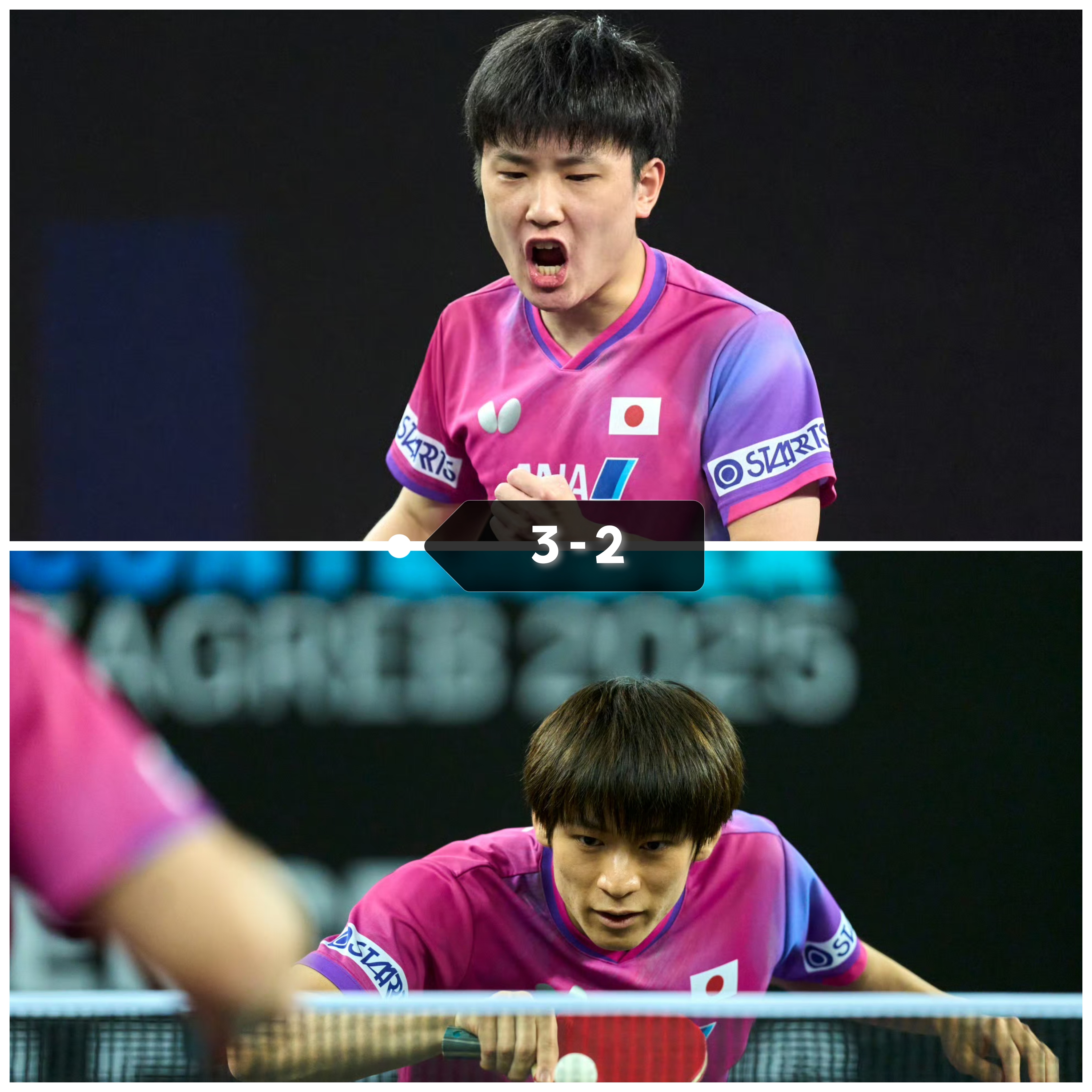 波兰队险胜法国队，张本智和关键制胜