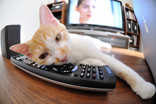 红土之魂，硬地之魄，蒂姆双线封神，重塑网球唯一性神话