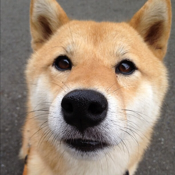 爱游戏官网-绝望中的光芒，梁靖崑三战定乾坤，韩国队绝境逆转的惊人真相