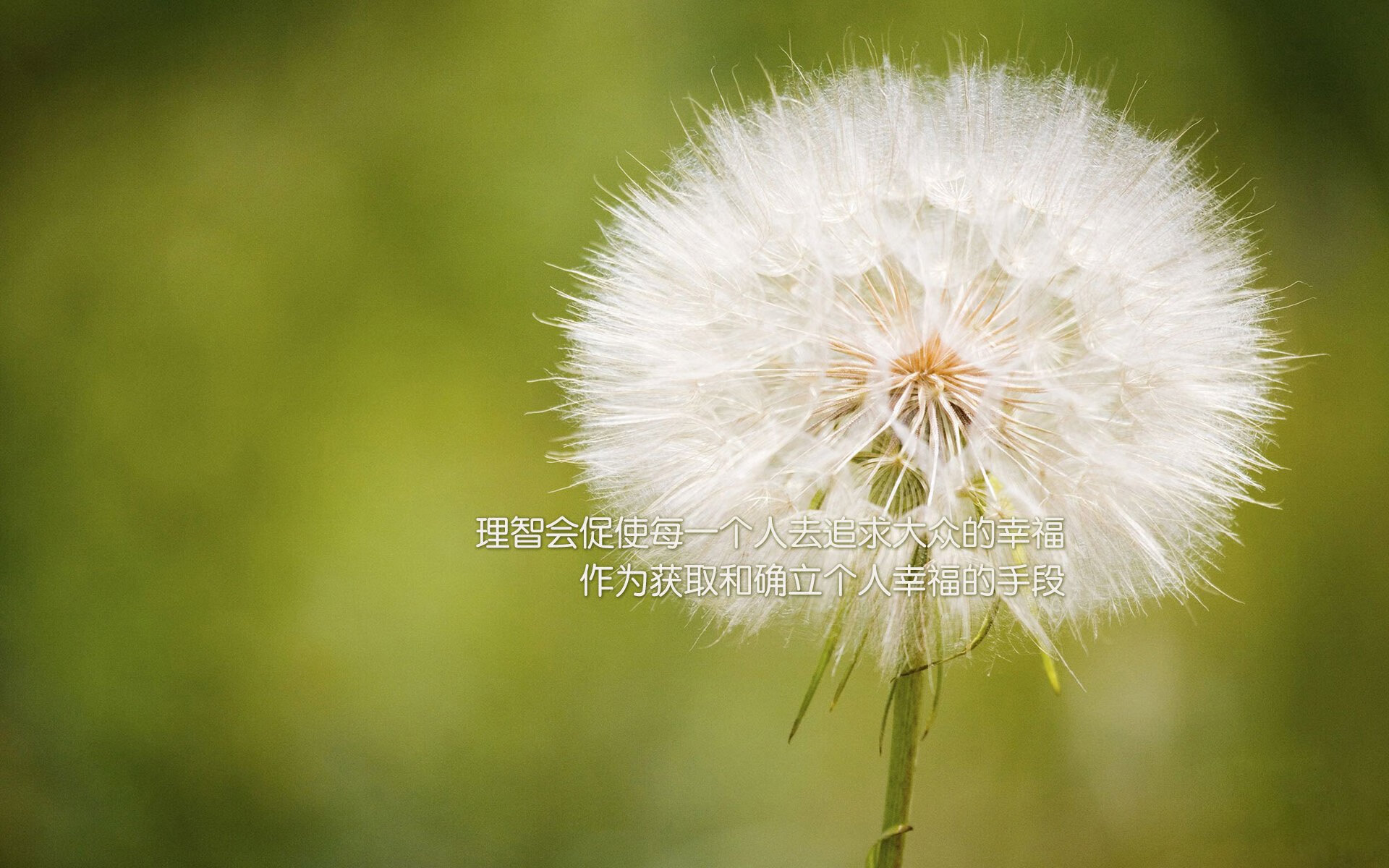 基耶萨终场绝杀智利劲旅,皇马关键先生一战成名