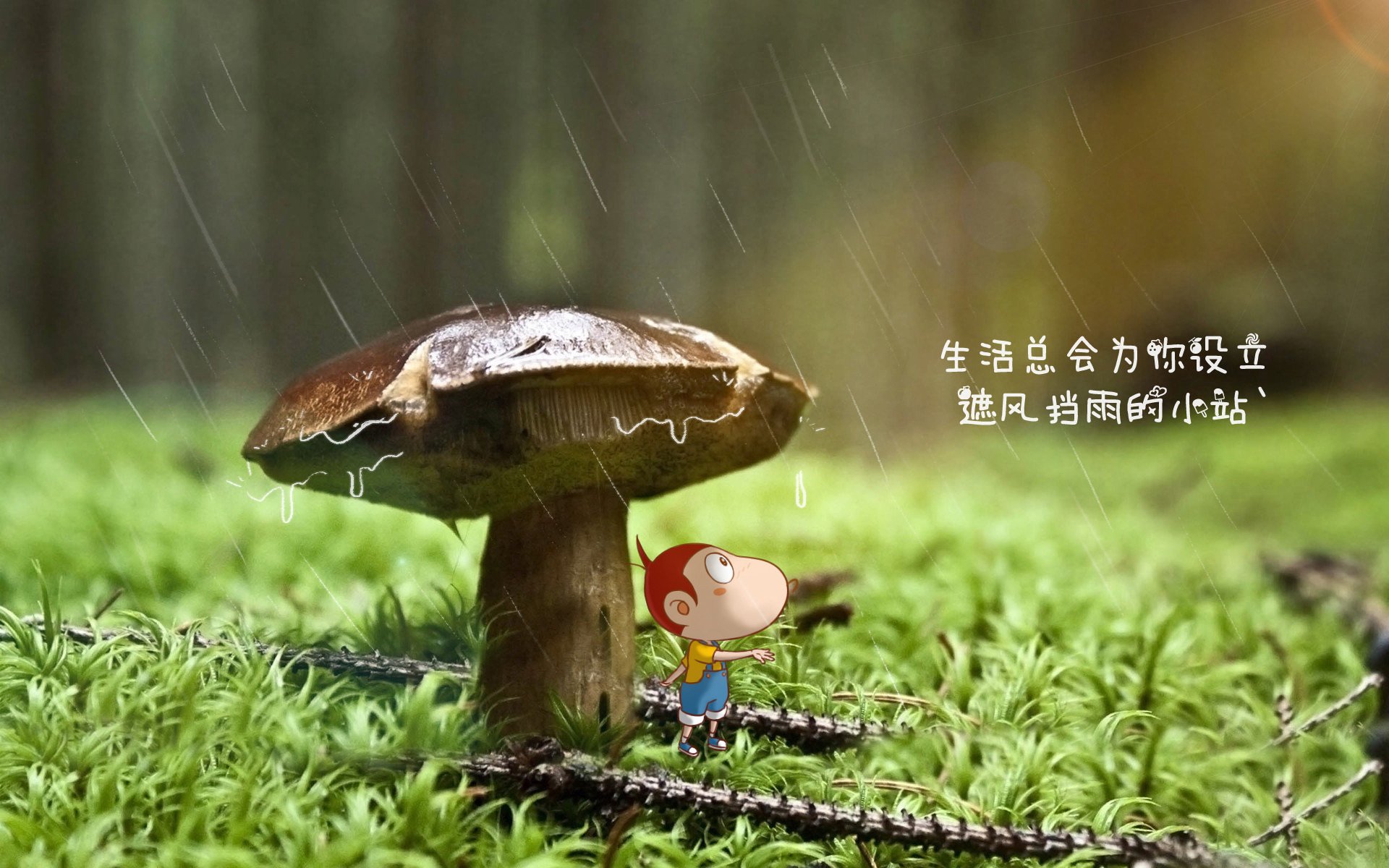 篮球场上上演欧冠淘汰赛,当哈登式接管在雷霆掀翻鹈鹕的夜晚降临