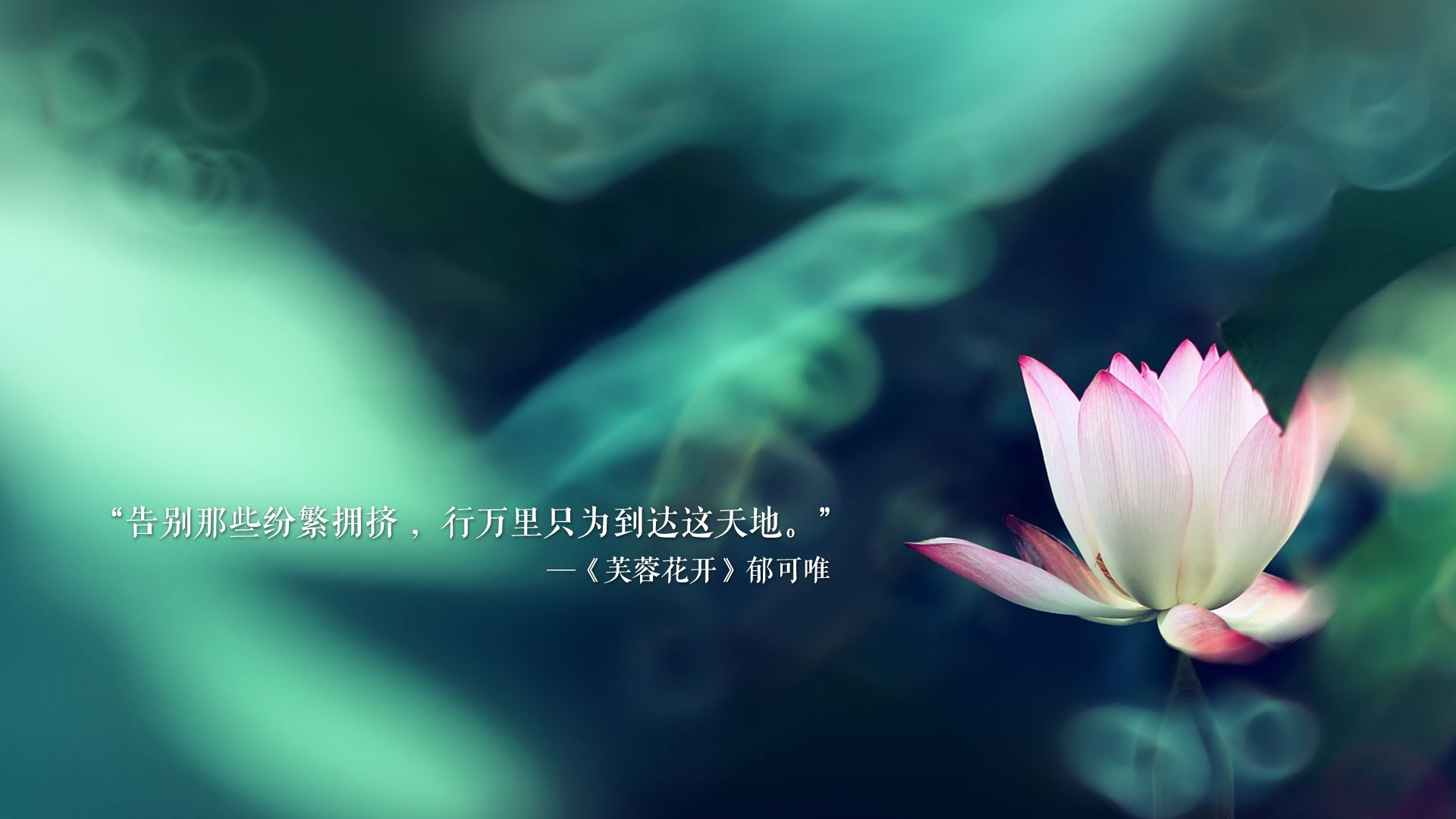 热血与剧本,体育世界的伟大传承与逆转之夜