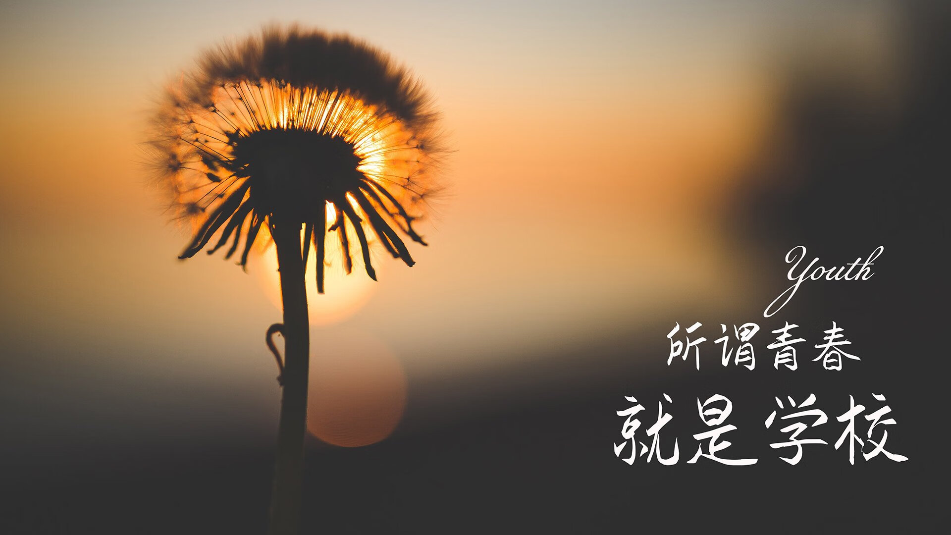 足球之夜,佩德里连续得分拉开差距,葡萄牙压哨击败韩国