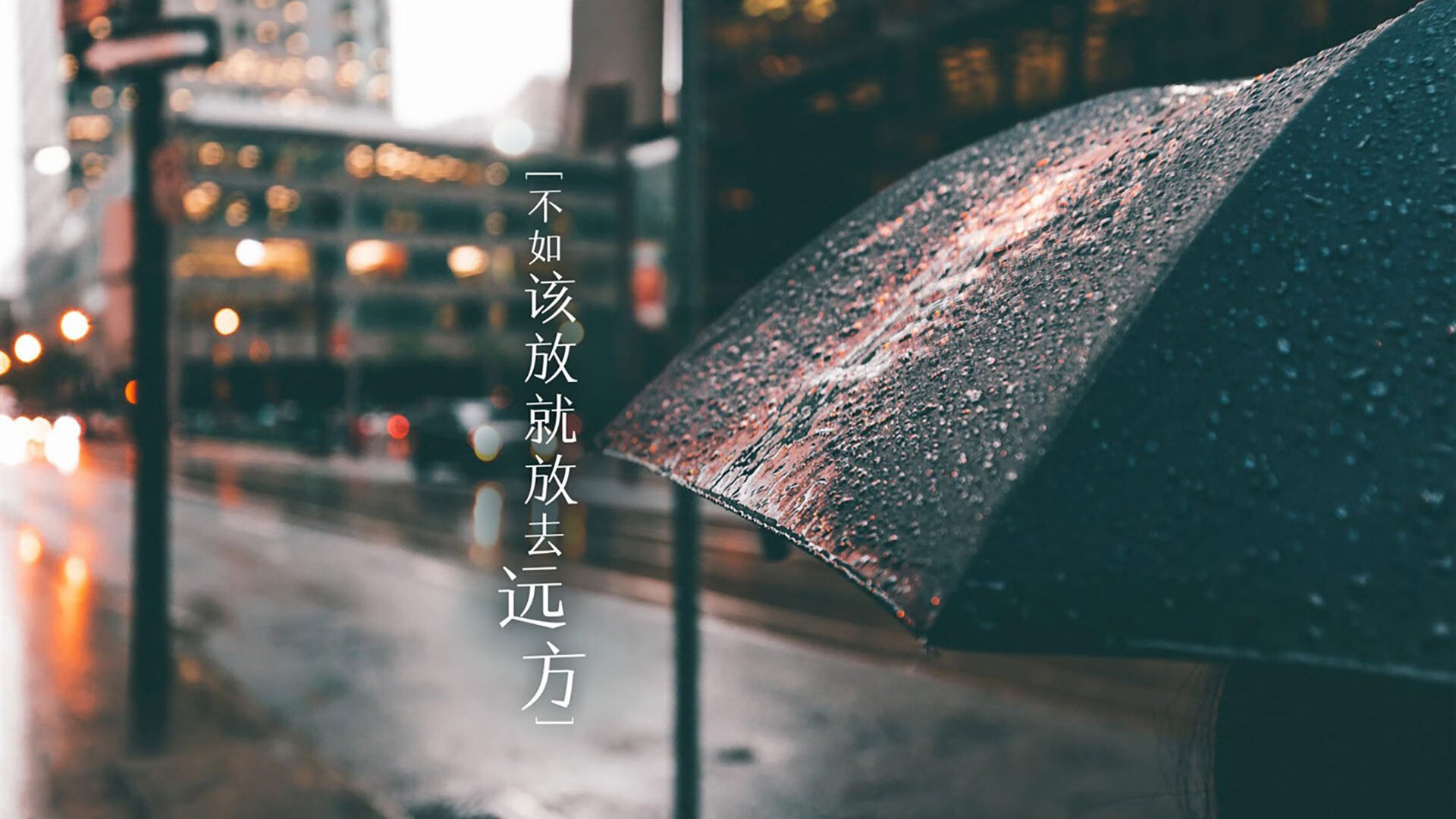 福克斯31分却成空砍?硬币的两面,个人英雄主义与胜利擦肩的残酷美学