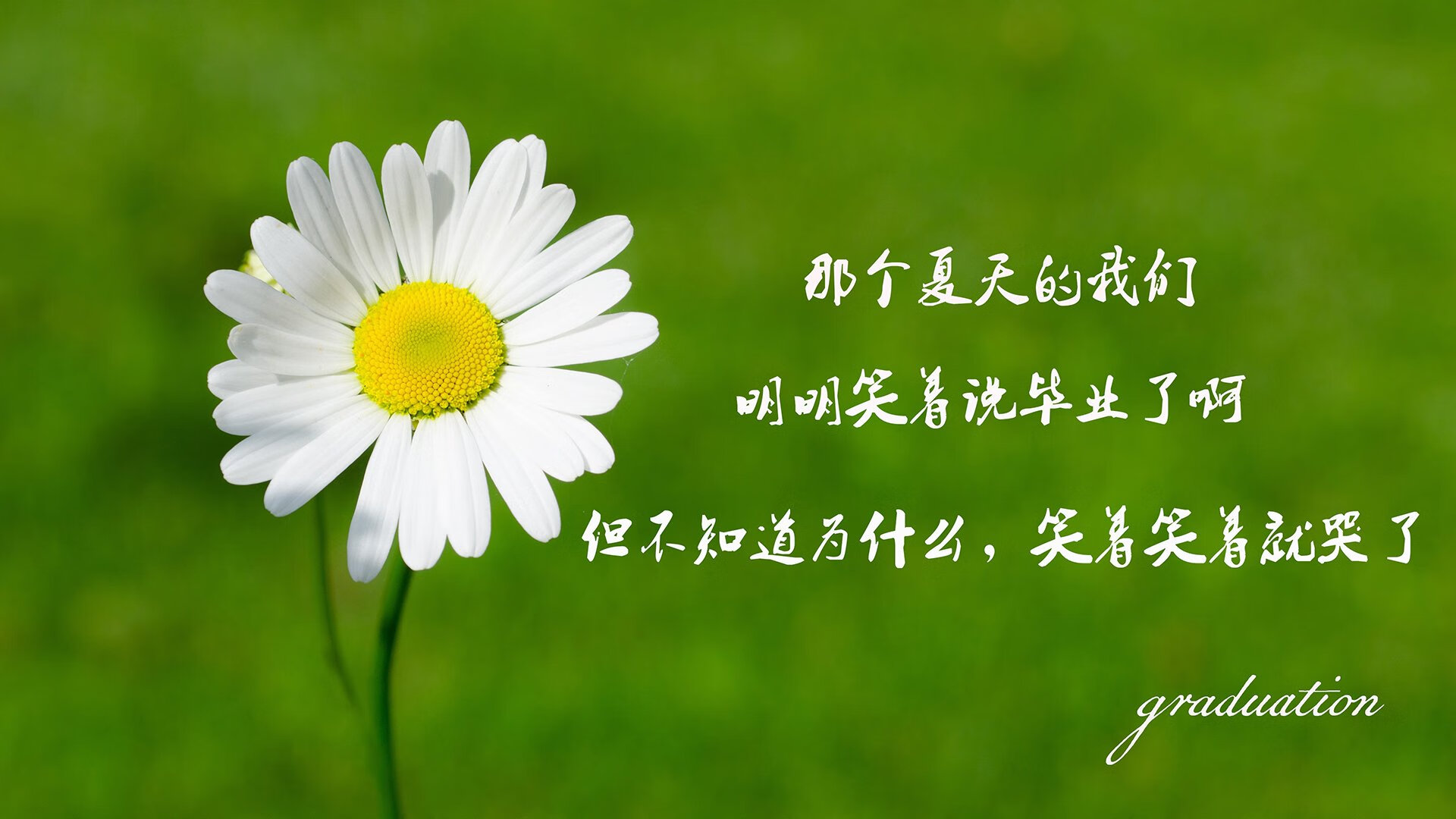 死亡之组首战爆冷,厄瓜多尔铁骑踏碎喀麦隆,德布劳内孤星闪耀难救主